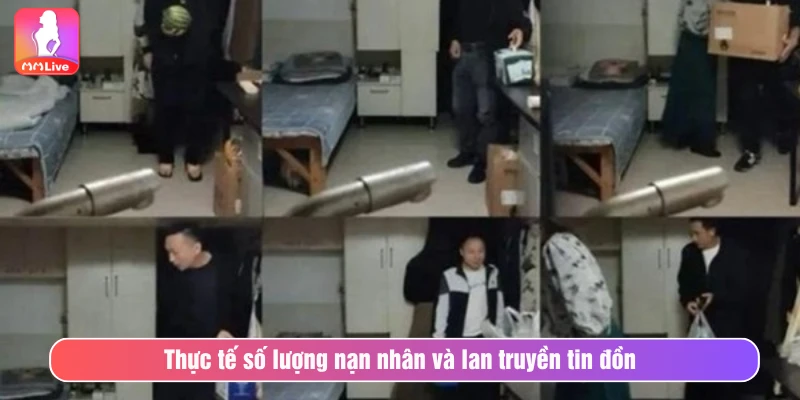 Hồng Tỉ Nam Kinh: Vụ Người Đàn Ông Giả Gái Ở Trung Quốc Thực tế số lượng nạn nhân và sự lan truyền tin đồn
